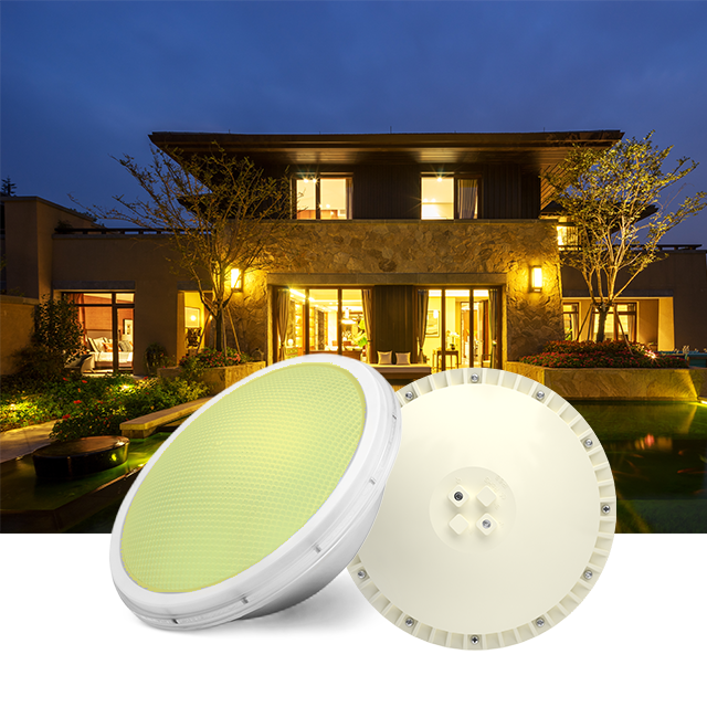 LED Pool Light PAR56